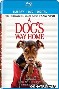 A Dogs Way Home (2019) Hollywood Hindi Dubbed Movie