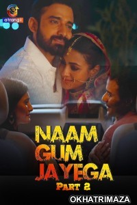 Naam Gum Jayega (2024) Part 2 Atrangii Hindi Web Series